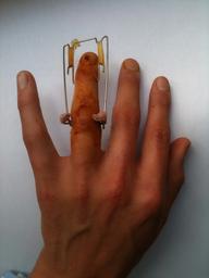 Suzuki frame on a ring finger May 2010.jpg