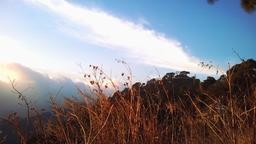 Kasauli, Himachal Pradesh.jpg