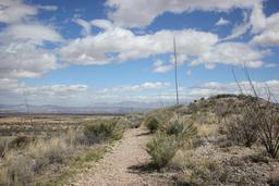 Foothills Loop Trail, Whetstone Mountains.JPG